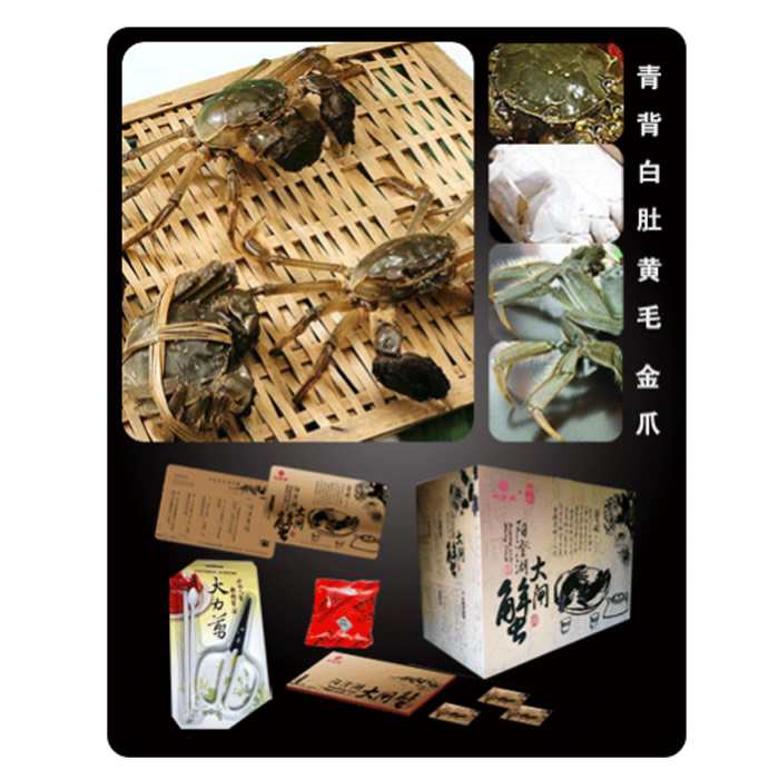 晓燕文化办公-提供权金城 蟹珍